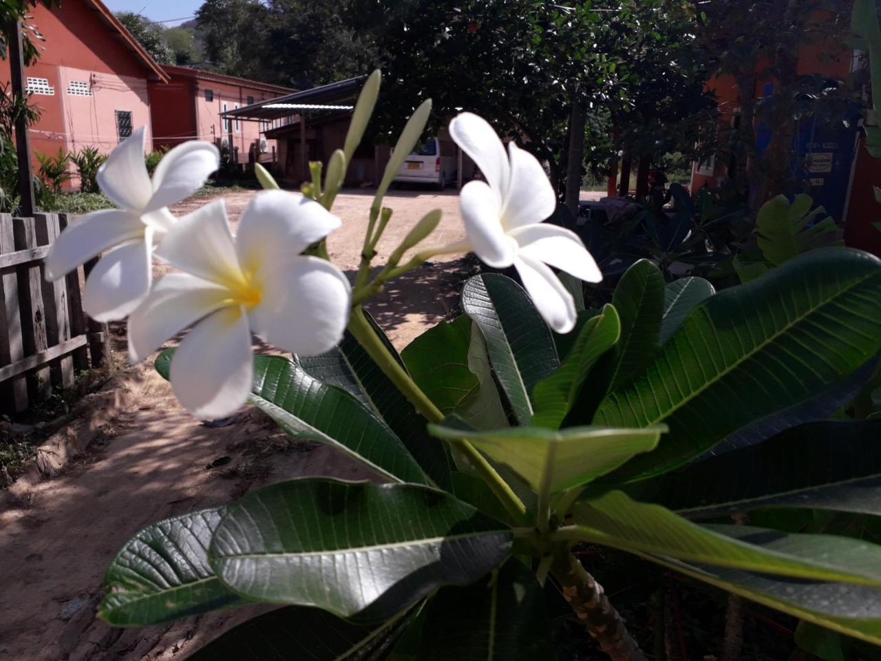 Lanta Lucky House Hotel Koh Lanta Ngoại thất bức ảnh